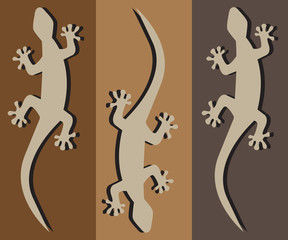 geckos