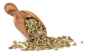 Fennel Seed © marilyn barbone