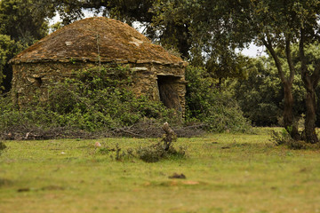 Hut of shepherds