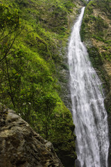 Fototapeta premium Waterfall