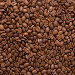 brown coffee beans