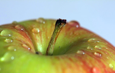 knackig frisch