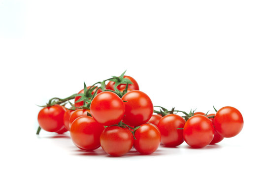 Pomodorini