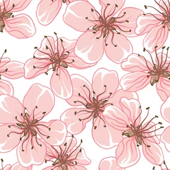 Papier Peint photo Fleurs abstraites Fond de vecteur de fleur de cerisier. (Motif de fleurs sans soudure)