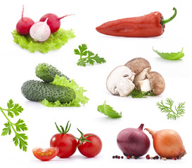 Collection of vegetables, isolated on white background
