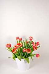 Tulpenstrauß mit Vase (hochformat)