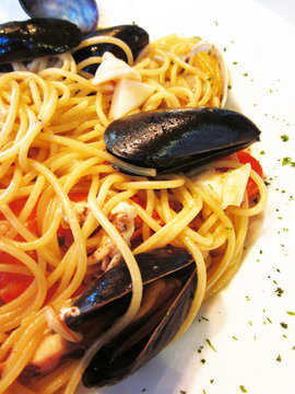 Arts of Italian Foods