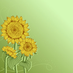 Yellow sunflowers. Vector flower element for design.