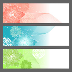 Vector floral illustration background. Horizontal banner.