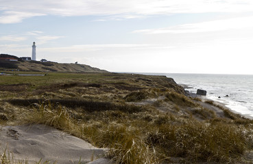 Fototapeta na wymiar coastal scene at north denmark with lighthouse