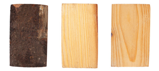 The bark and wood of spruce