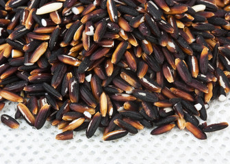 Rice black on the mesh fabric.