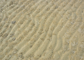 Beach sand ripple pattern and crab hole