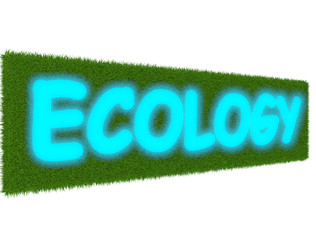 Неоновая вывеска экология