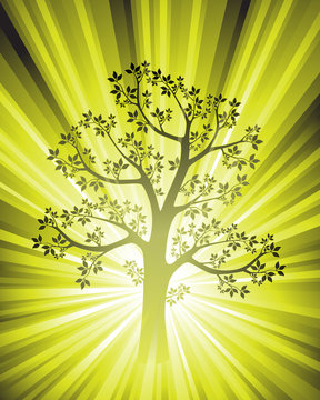 tree