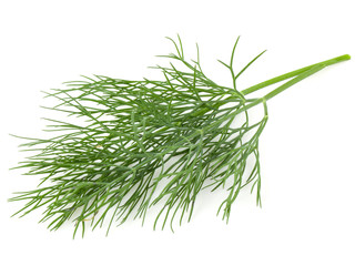 Green dill isolated on white background. Studio macro