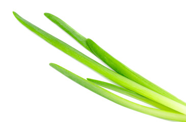 Fototapeta premium fresh green onions isolated on white