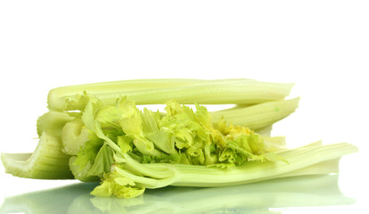 fresh green celery isolated on white.