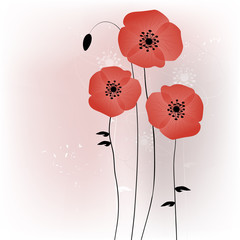 Beautiful poppies background illustration