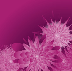 Flowers floral background vector