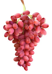 grapes