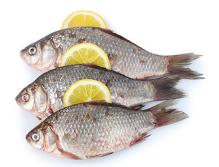 Fresh fishes with lemon isolated on white