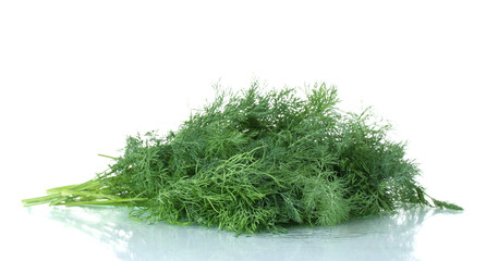dill isolated on white