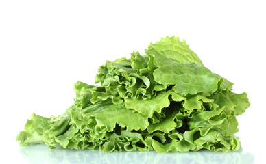 lettuce isolated on white close-up