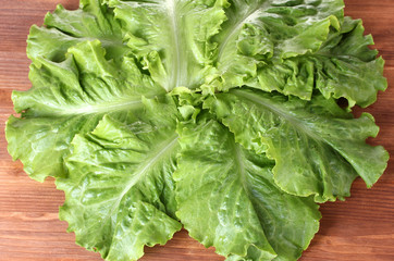 lettuce on wooden background