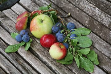 Apples cherries pears on  bench