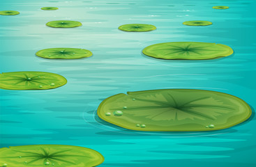 Calm pond scene © GraphicsRF
