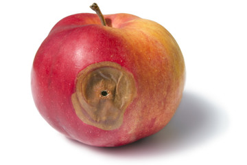 Apfel mit Wurmloch