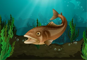 Fotobehang Onderwaterwereld Onder water vissen