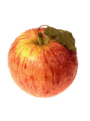 Single Bareaburn Apple