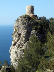 Fototapeta na wymiar Isla de Mallorca, Islas Baleares ,Spain