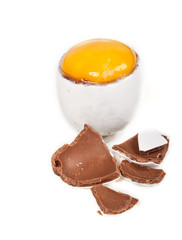 Yellow egg yold in a white egg