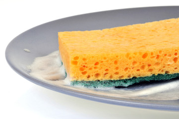 L'éponge dans l'assiette