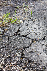 Close-up cracked soil