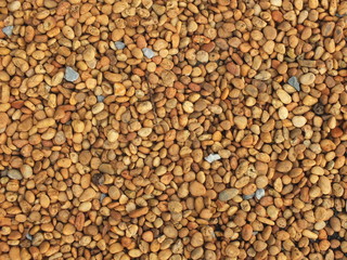 Orange & Brown pebbles texture.