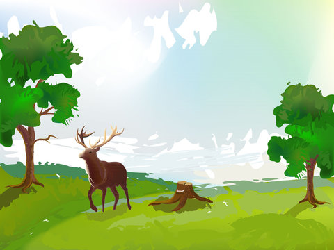Deer