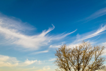 Clouds and heavens