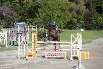 Concours Jumping