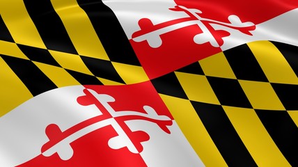 Marylander flag in the wind