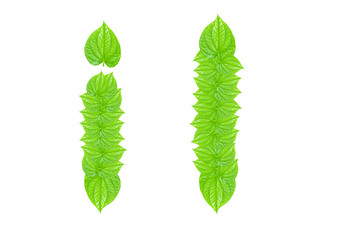 English alphabet made from green leafs