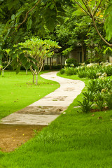 pathway to the garden