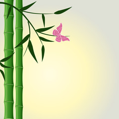 Fototapeta na wymiar Bamboo design background with butterfly