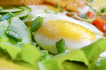 egg with salad