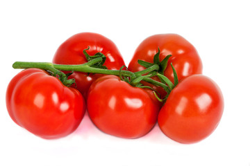 Fresh tomatoes isolated on white