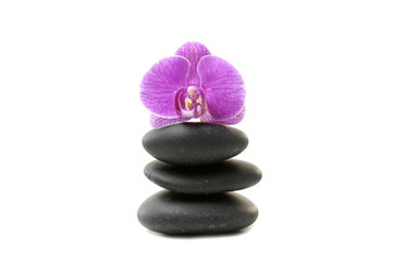 Macro of pink orchid and stones tower