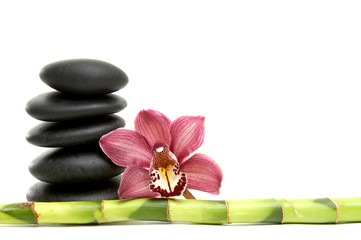 Beautiful orchid flower and balanced stones and stick
